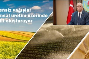 Ani Sıcaklık Değişimleri Bitkiyi Strese Soktu